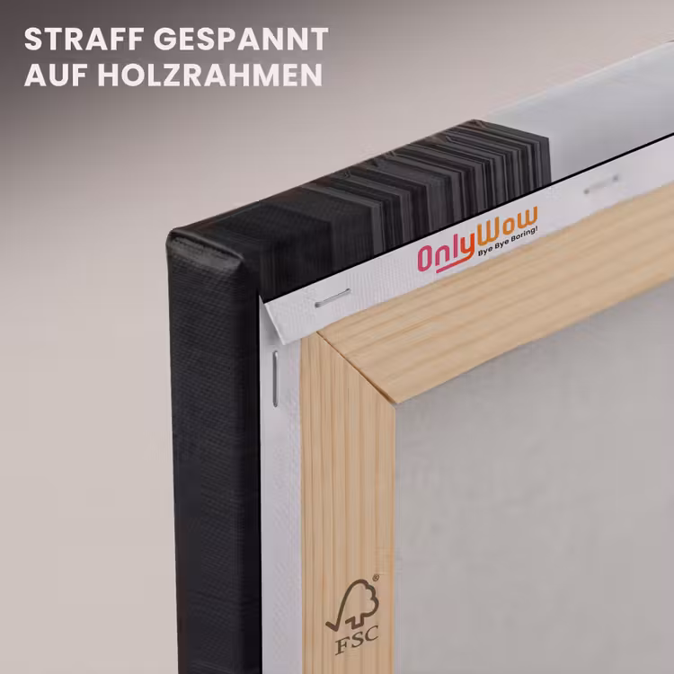 Brug - Stad - Architectuur - Modern - Zwart-wit canvas 2cm klein -uniquesellingpoint_afwerking-onlywow_DE
