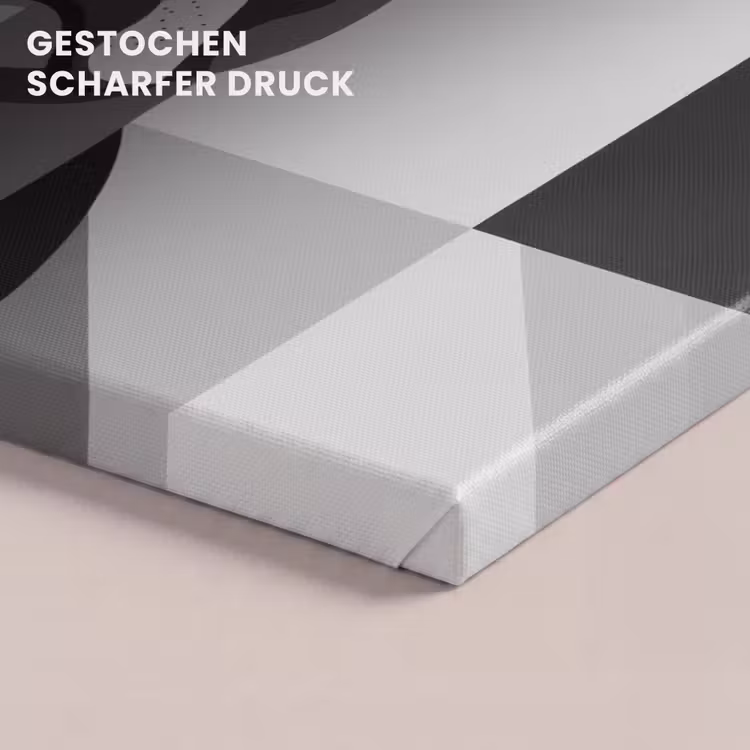 Buldog - Zwart - Abstract - Vlakken canvas 2cm klein -closeup_print_DE