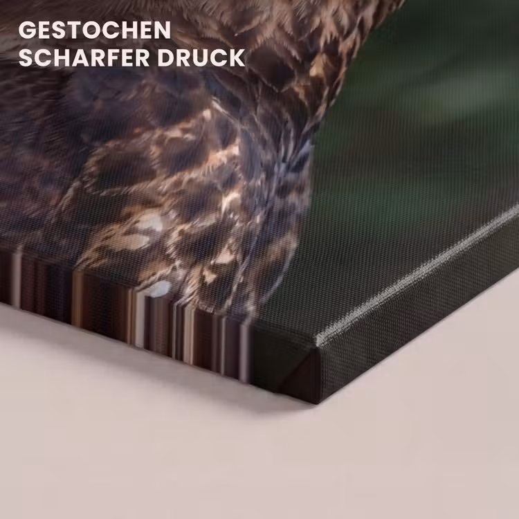 Buizerd - Roofvogel - Natuur - Bruin canvas 2cm klein -uniquesellingpoint_afwerking-onlywow_DE