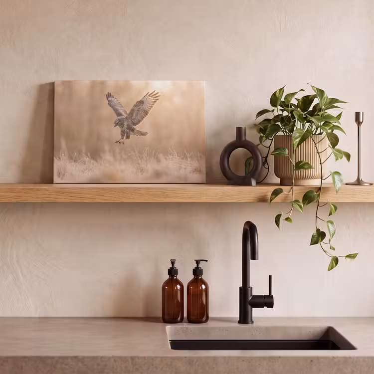 Buizerd - Roofvogel - Natuur - Bruin canvas 2cm klein -sfeer3