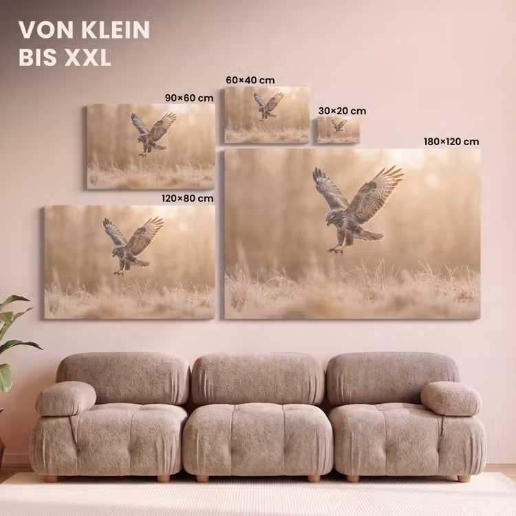 Buizerd - Roofvogel - Natuur - Bruin canvas 2cm klein -Xsfeer8_DE