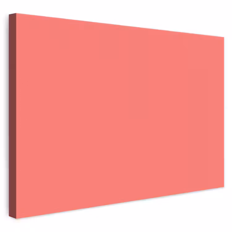 Coral - Punch - Koraal canvas 2cm klein 34 -3d