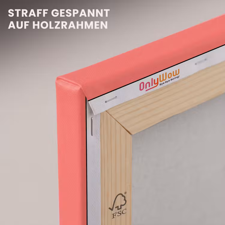 Coral - Punch - Koraal canvas 2cm klein 34 -uniquesellingpoint_afwerking-onlywow_DE