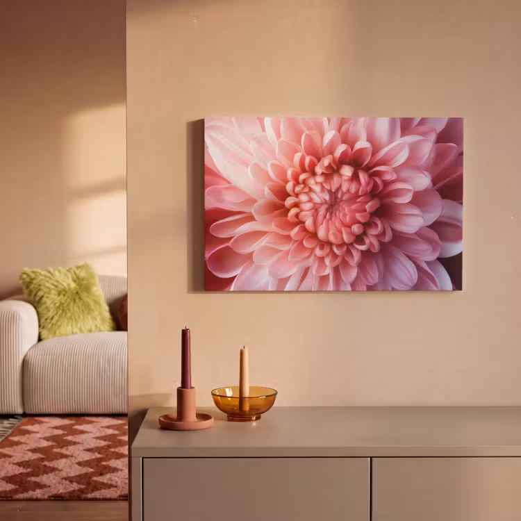 Dahlia - Bloem - Close up - Roze canvas 2cm klein -sfeer1