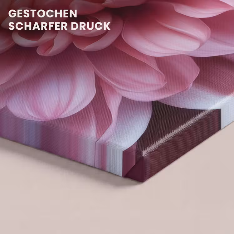 Dahlia - Bloem - Close up - Roze canvas 2cm klein -uniquesellingpoint_afwerking-onlywow_DE