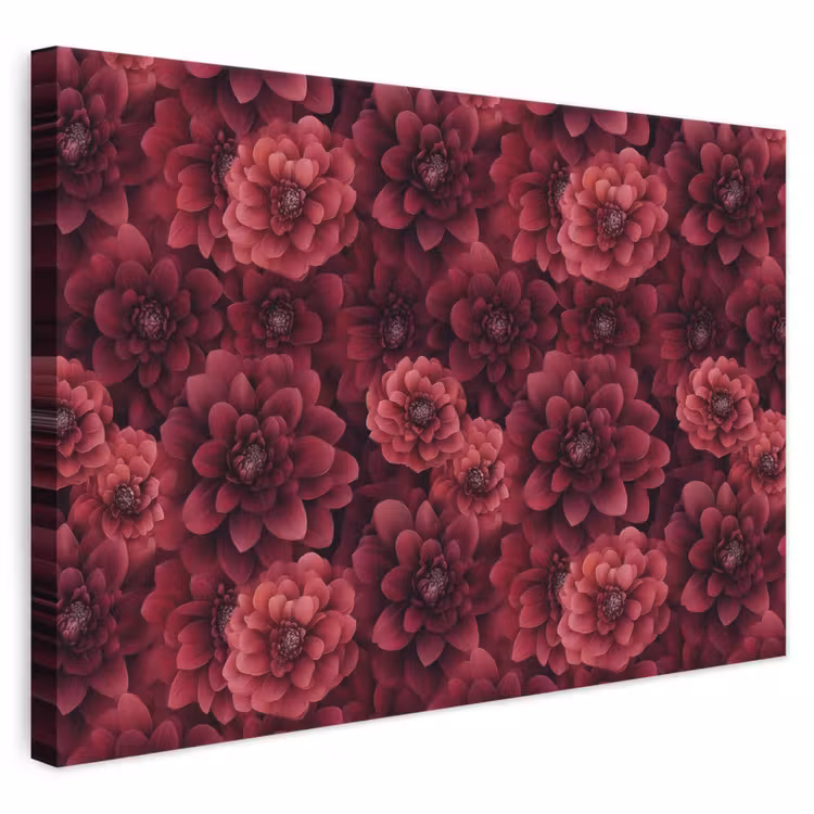 Dahlias - Bloemen - Rood canvas 2cm klein 34 -3d