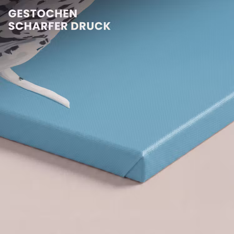 Dalmatiër - Zonnebril - Blauw canvas 2cm klein -uniquesellingpoint_afwerking-onlywow_DE