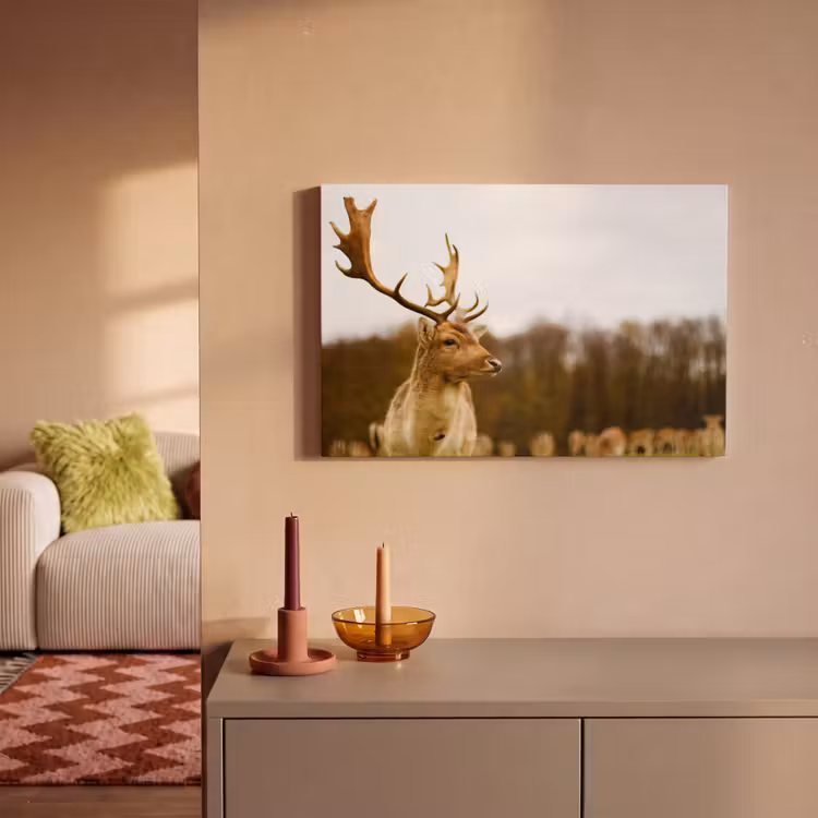 Damhert - Bos - Kudde - Dieren - Natuur canvas 2cm klein -sfeer1