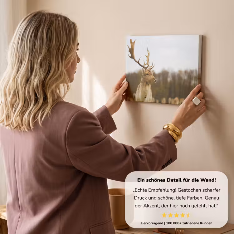 Damhert - Bos - Kudde - Dieren - Natuur canvas 2cm klein -Xsfeer7_DE