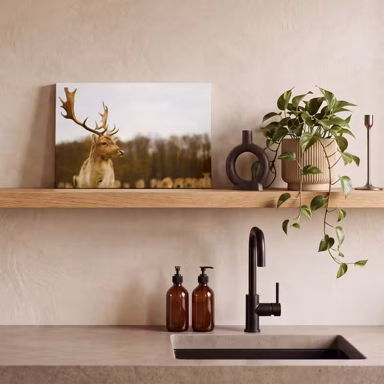 Damhert - Bos - Kudde - Dieren - Natuur canvas 2cm klein -sfeer3