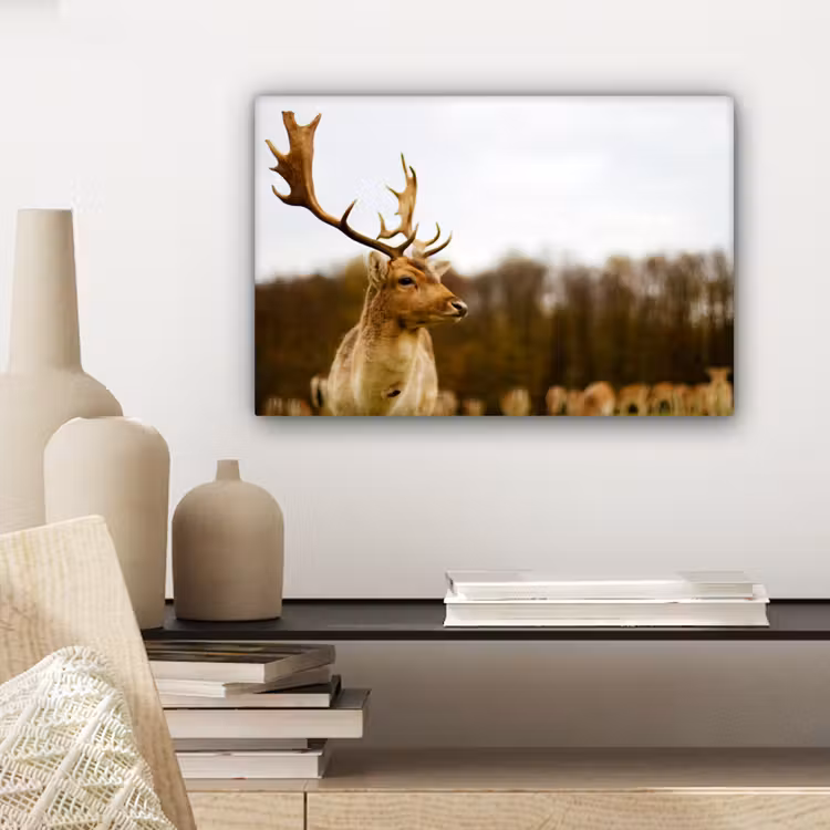 Damhert - Bos - Kudde - Dieren - Natuur canvas 2cm klein -sfeer6
