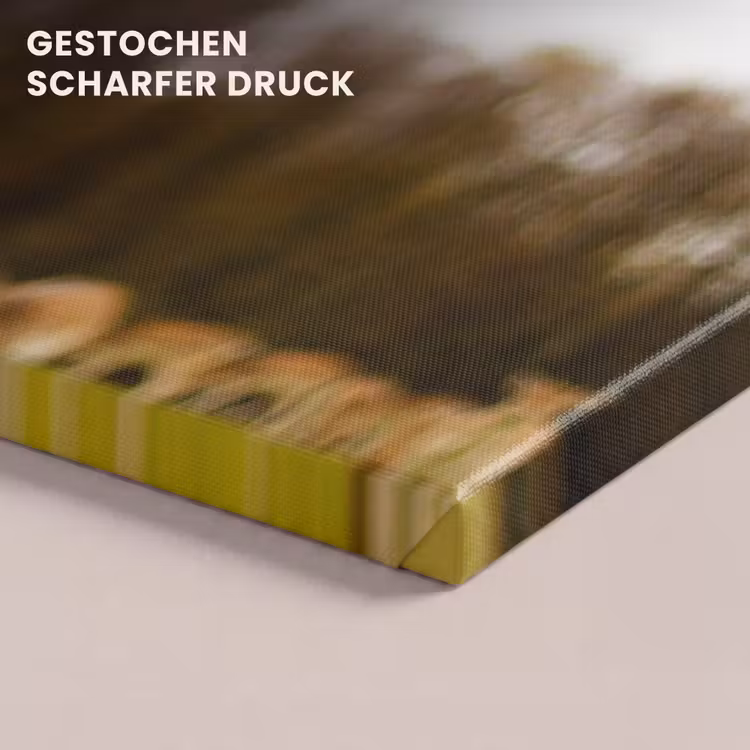 Damhert - Bos - Kudde - Dieren - Natuur canvas 2cm klein -closeup_print_DE