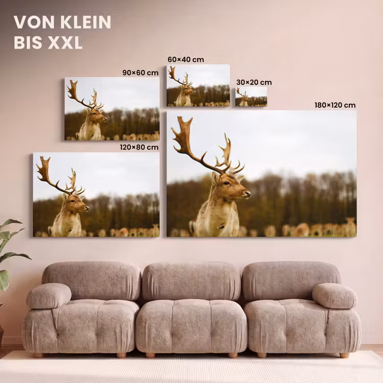 Damhert - Bos - Kudde - Dieren - Natuur canvas 2cm klein -Xsfeer8_DE