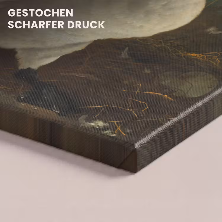 De bedreigde zwaan - Schilderij van Jan Asselijn canvas 2cm klein -uniquesellingpoint_afwerking-onlywow_DE