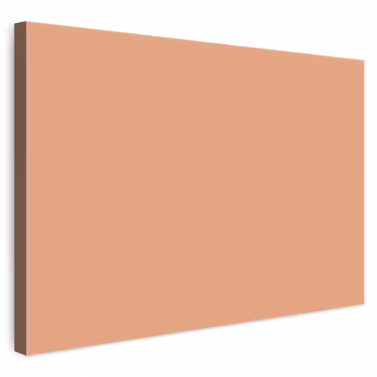 Desert - Coral - Koraal canvas 2cm klein 34 -3d