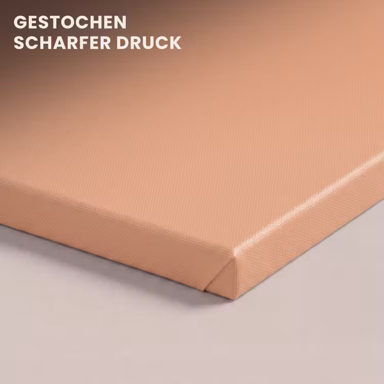 Desert - Coral - Koraal canvas 2cm klein 34 -closeup_print_DE