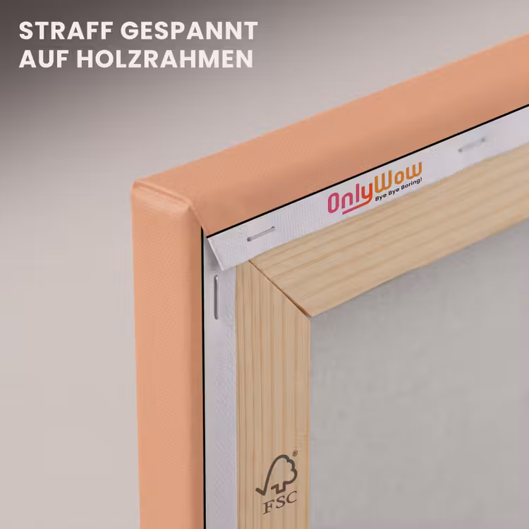 Desert - Coral - Koraal canvas 2cm klein 34 -uniquesellingpoint_afwerking-onlywow_DE
