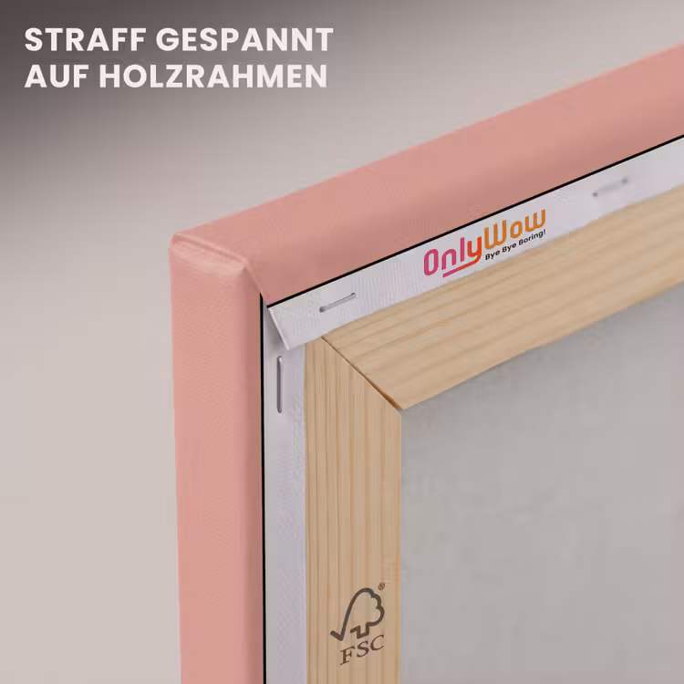 Muted - Salmon - Koraal canvas 2cm klein 34 -uniquesellingpoint_afwerking-onlywow_DE