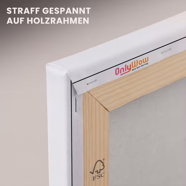 Disco - Discobal - Meloen - Pastel canvas 2cm klein -uniquesellingpoint_afwerking-onlywow_DE