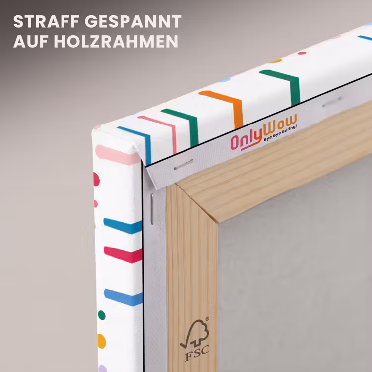 Stippen - Speels - Kleurrijk canvas 2cm klein 34 -uniquesellingpoint_afwerking-onlywow_DE