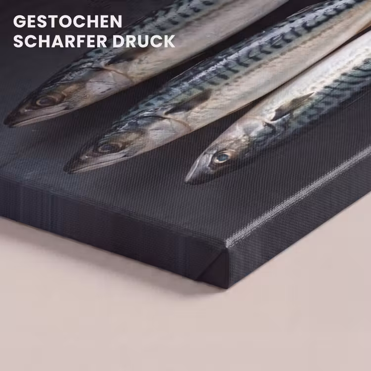 Leinwandbild - Drei Fische – Seil - Drie vissen - Touw canvas 2cm klein
