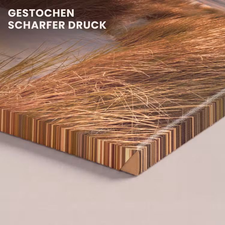 Duin - Planten - Zonsondergang - Strand - Zee canvas 2cm klein -closeup_print_DE