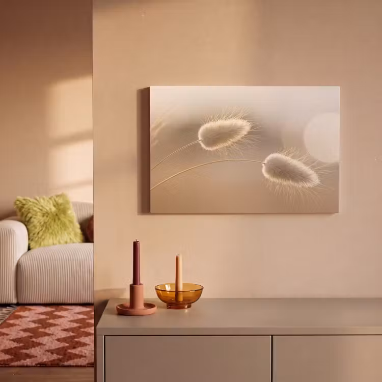 Hazestaartgras - Graanharen - Zonlicht canvas 2cm klein -sfeer1