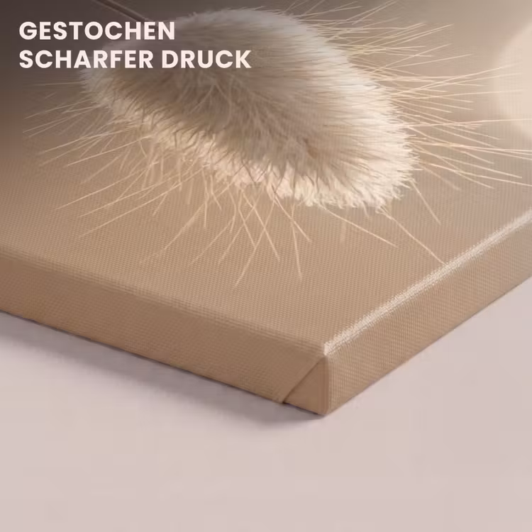 Hazestaartgras - Graanharen - Zonlicht canvas 2cm klein -closeup_print_DE