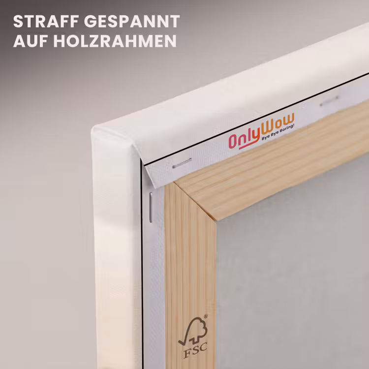 Hazestaartgras - Graanharen - Zonlicht canvas 2cm klein -uniquesellingpoint_afwerking-onlywow_DE