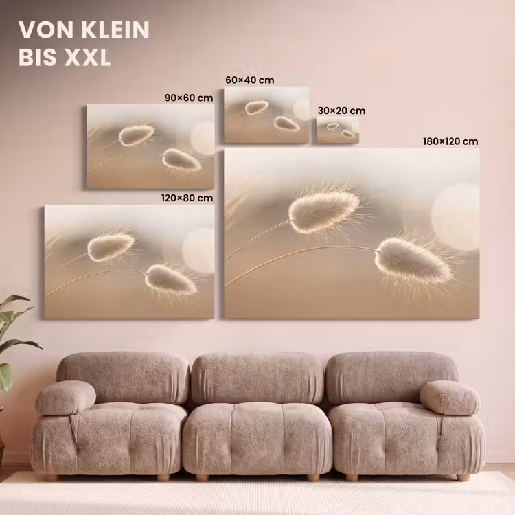 Hazestaartgras - Graanharen - Zonlicht canvas 2cm klein -Xsfeer8_DE