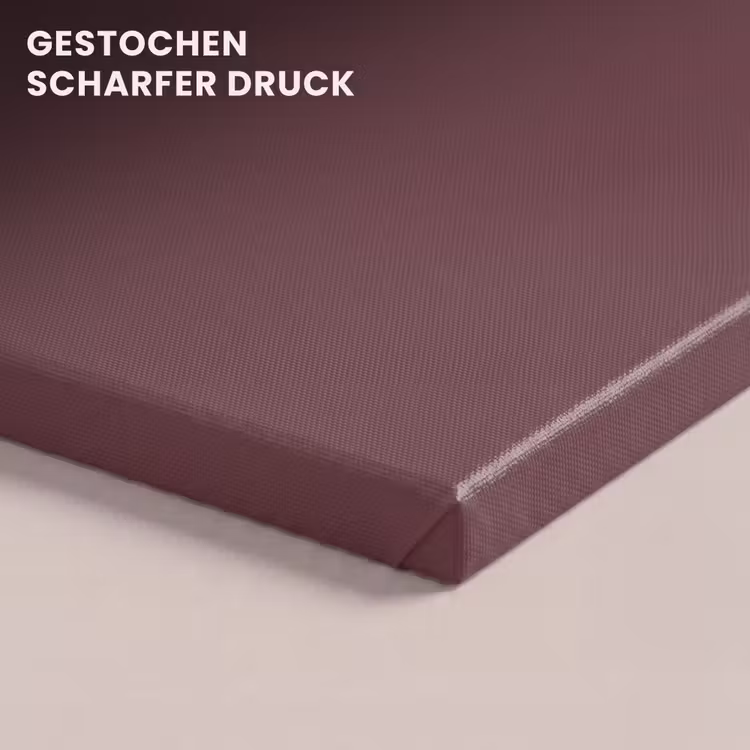 Dusty - Rose - Roze canvas 2cm klein 34 -closeup_print_DE
