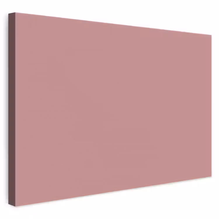 Dusty - Rose - Roze canvas 2cm klein 34 -3d