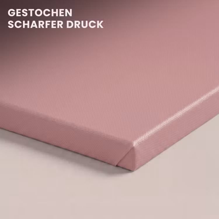 Dusty - Rose - Roze canvas 2cm klein 34 -closeup_print_DE