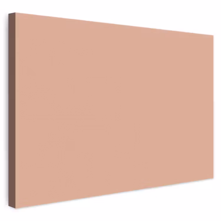Dusty - Rose - Roze canvas 2cm klein 34 -3d