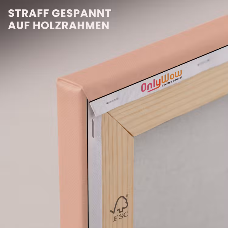 Dusty - Rose - Roze canvas 2cm klein 34 -uniquesellingpoint_afwerking-onlywow_DE