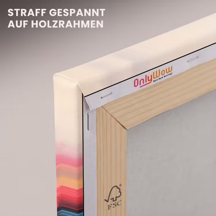 Dynamisch - Abstract - Kleurrijk - Zwart canvas 2cm klein -uniquesellingpoint_afwerking-onlywow_DE