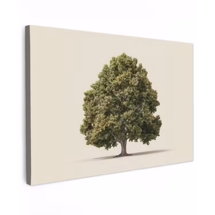 Eikenboom - Groen - Lichte achtergrond canvas 2cm klein -z3d