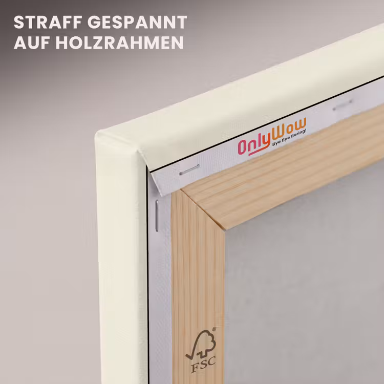 Ijskar - Retro - Softijsjes - Roze canvas 2cm klein -uniquesellingpoint_afwerking-onlywow_DE