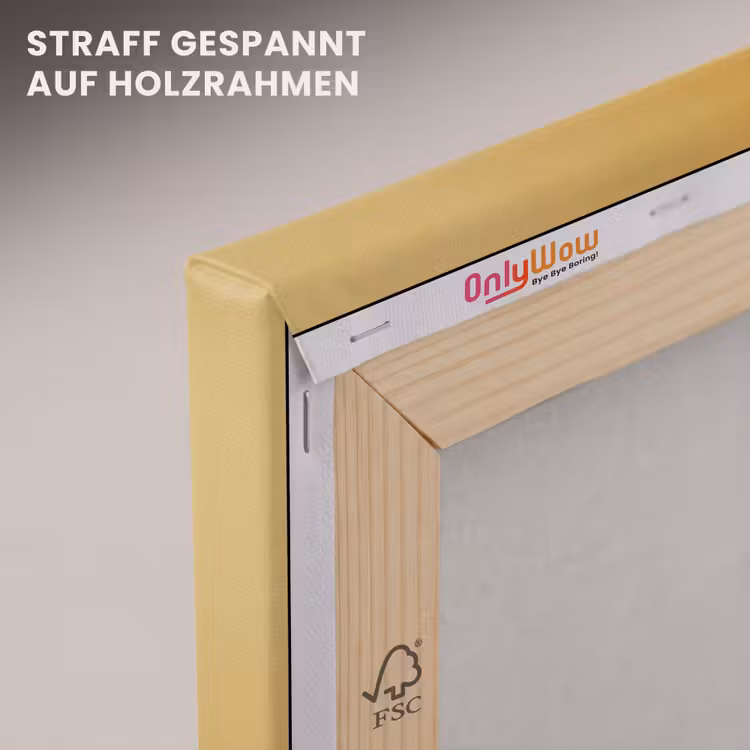 Ijsvogel - Pilaar - Koksmuts - Vogel canvas 2cm klein -uniquesellingpoint_afwerking-onlywow_DE