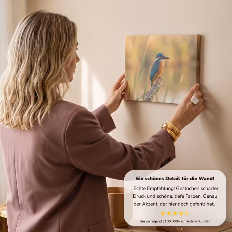 IJsvogel - Tak - Water - Kleurrijk - Levendig canvas 2cm klein -sfeer3