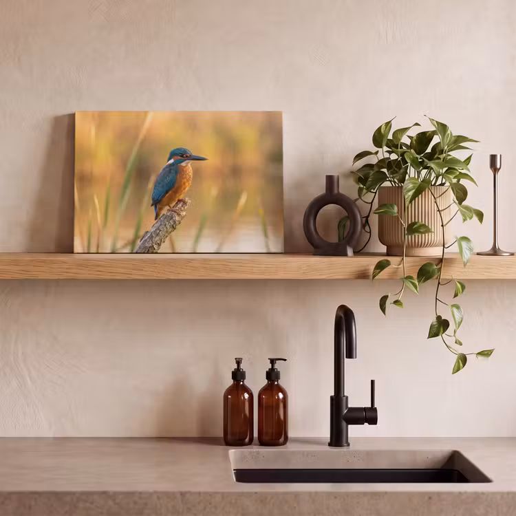 IJsvogel - Tak - Water - Kleurrijk - Levendig canvas 2cm klein -sfeer6
