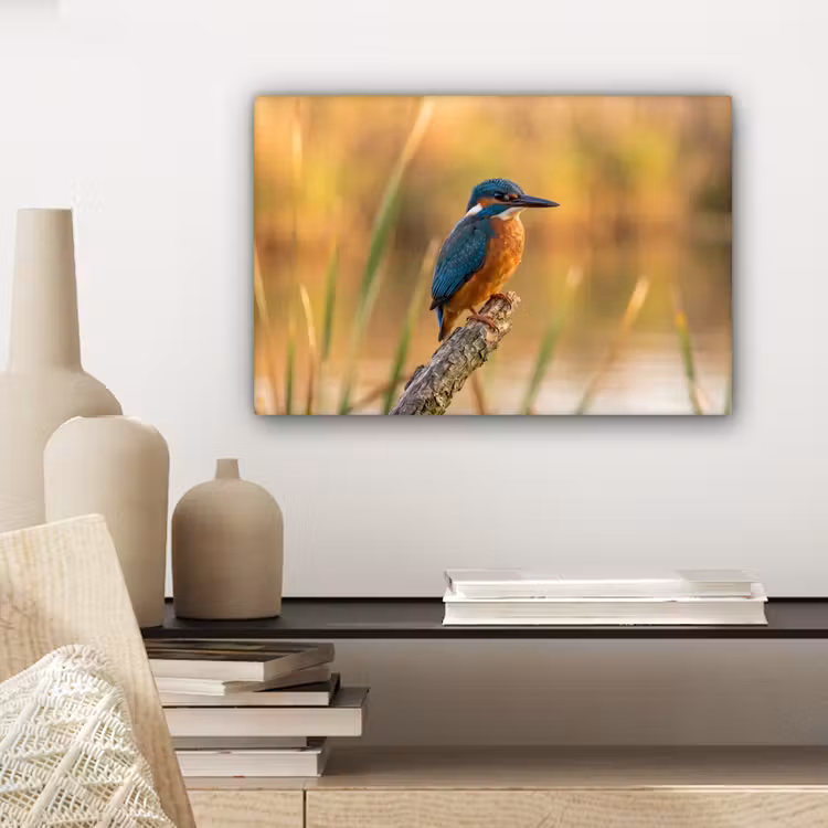 IJsvogel - Tak - Water - Kleurrijk - Levendig canvas 2cm klein -closeup_print_DE