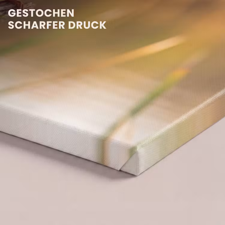 IJsvogel - Tak - Water - Kleurrijk - Levendig canvas 2cm klein -uniquesellingpoint_afwerking-onlywow_DE