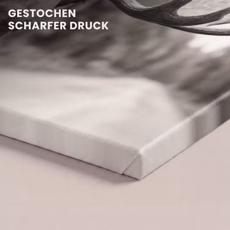 Eland - Auto - Gewei - Zwart - Wit canvas 2cm klein -closeup_print_DE