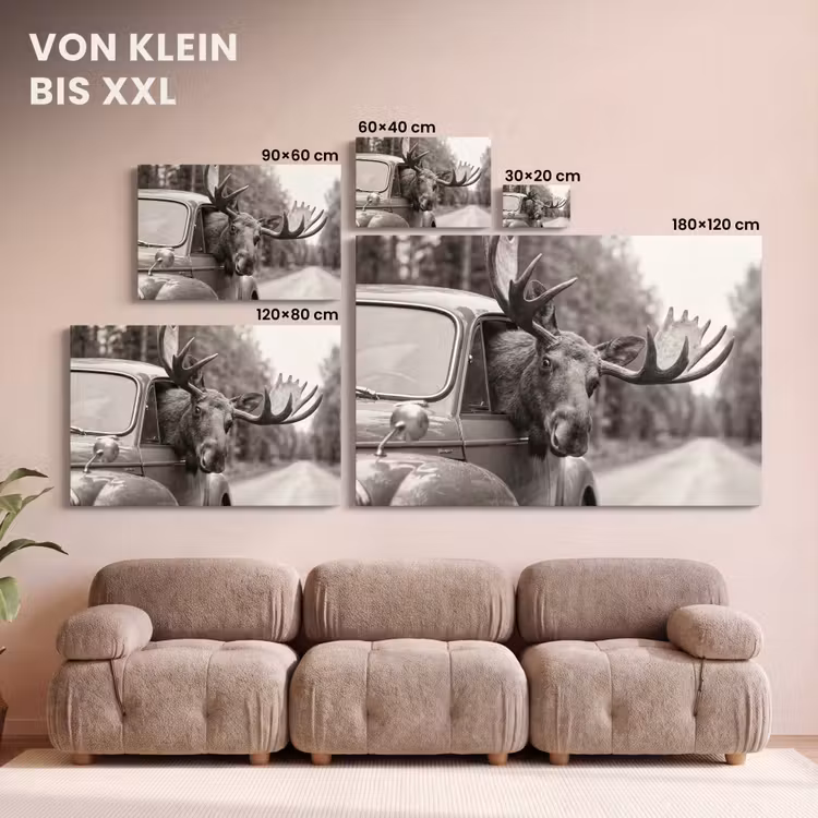 Eland - Auto - Gewei - Zwart - Wit canvas 2cm klein -Xsfeer8_DE