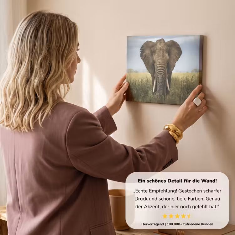 Olifant - Natuur - Gras - Dieren - Landschap canvas 2cm klein -Xsfeer7_DE
