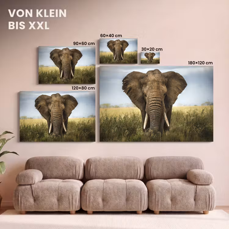 Olifant - Natuur - Gras - Dieren - Landschap canvas 2cm klein -Xsfeer8_DE
