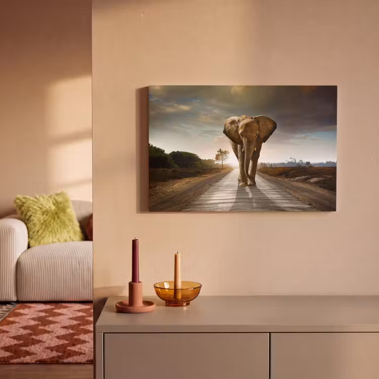 Olifant - Weg - Dieren - Zonsondergang - Landschap canvas 2cm klein -sfeer1