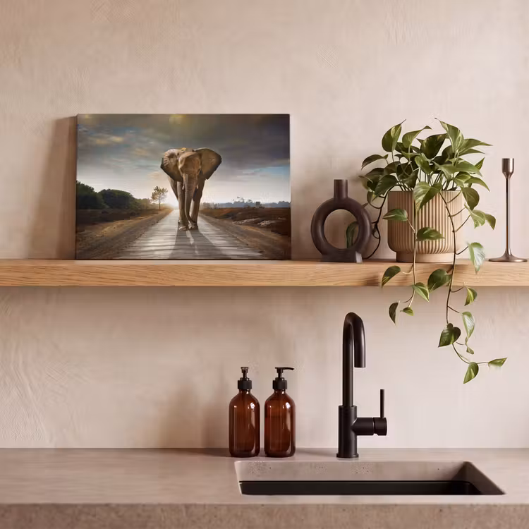 Olifant - Weg - Dieren - Zonsondergang - Landschap canvas 2cm klein -closeup_print_DE