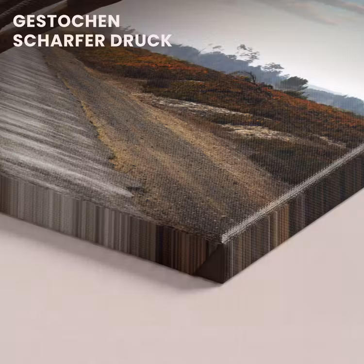 Olifant - Weg - Dieren - Zonsondergang - Landschap canvas 2cm klein -uniquesellingpoint_afwerking-onlywow_DE
